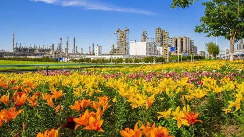 上海化工原料生产厂家资质：合规之路，品质保障